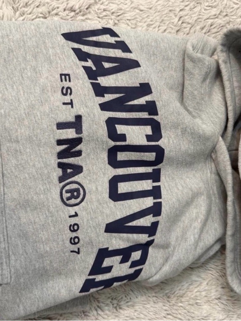 Aritzia Light Gray Hoodie with Navy Graphic